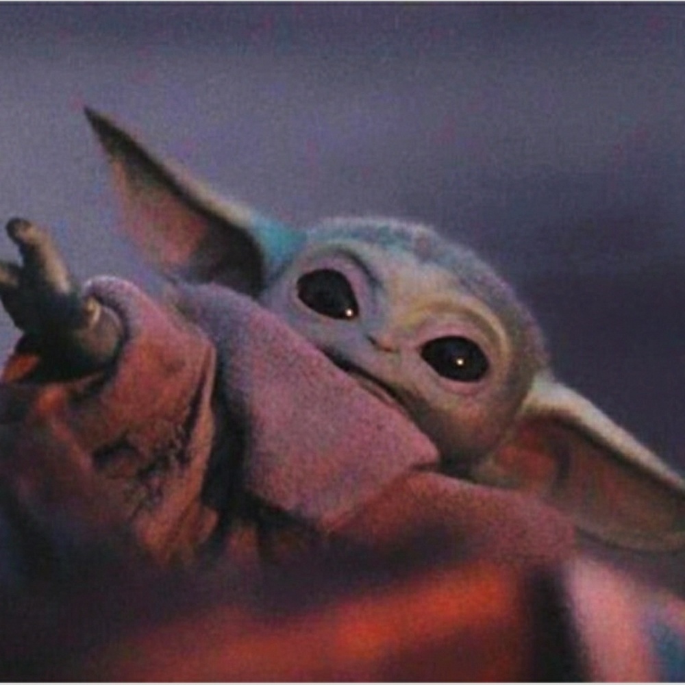 Meet your Posher, Heidi